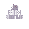 Cadeaux British Shorthair