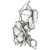 Flower Knife