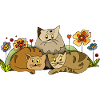 Katzen