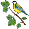 Bunter Vogel