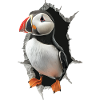 Macareux