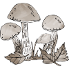 Pilze
