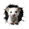 Ermine