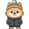 Pomeranian Dog Winter Pomeranian