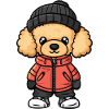 Poodle Dog Winter