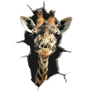 Girafe