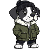 Great Dane Dog Winter
