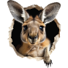 Känguru