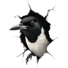 Pie