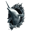 Narval