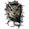 Hibou