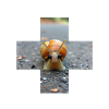 Go slow