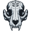 Tiger skull