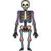 Skeleton Funny Halloween Funny