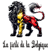 Belgium lion flag design