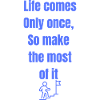 Important life