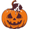 Halloween Dog with Pumpkin