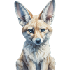 Fennec Fox