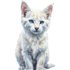 Blue-Eyed Kitten