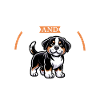 Café et bouvier suisse