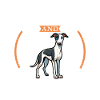 Café et lévrier