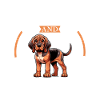 Coffee and Hanoverian Scent Hound