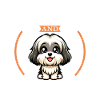 Coffee and Havanese