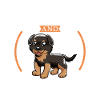Coffee and Hovawart