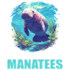 Seekuh Manatees Manatee