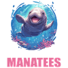 Seekuh Manatees Manatee