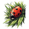 Ladybug Marienkäfer