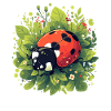 Ladybug Marienkäfer