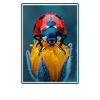 Ladybug Marienkäfer