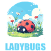 Ladybug Marienkäfer
