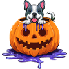 Funny Halloween Dog in Pumpkin Head