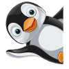 Penguin Penguins Animal