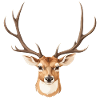 Cute Deer Head