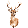 Cute fawn