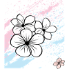 Blüten, Fleurs