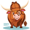 Highland Detective Cow