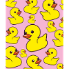 Canards violets