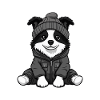 Border Collie Dog Winter