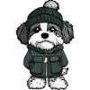Havanese Dog Winter