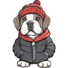 Mastiff Hund Winter