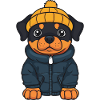 Rottweiler Dog Winter