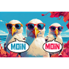 Moin Moin Möwen