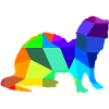 Ferret Rainbow Animals Polygon