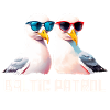 Baltic Patrol Seagulls