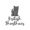 British Shorthair Gifts