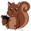 Squirrel Willi